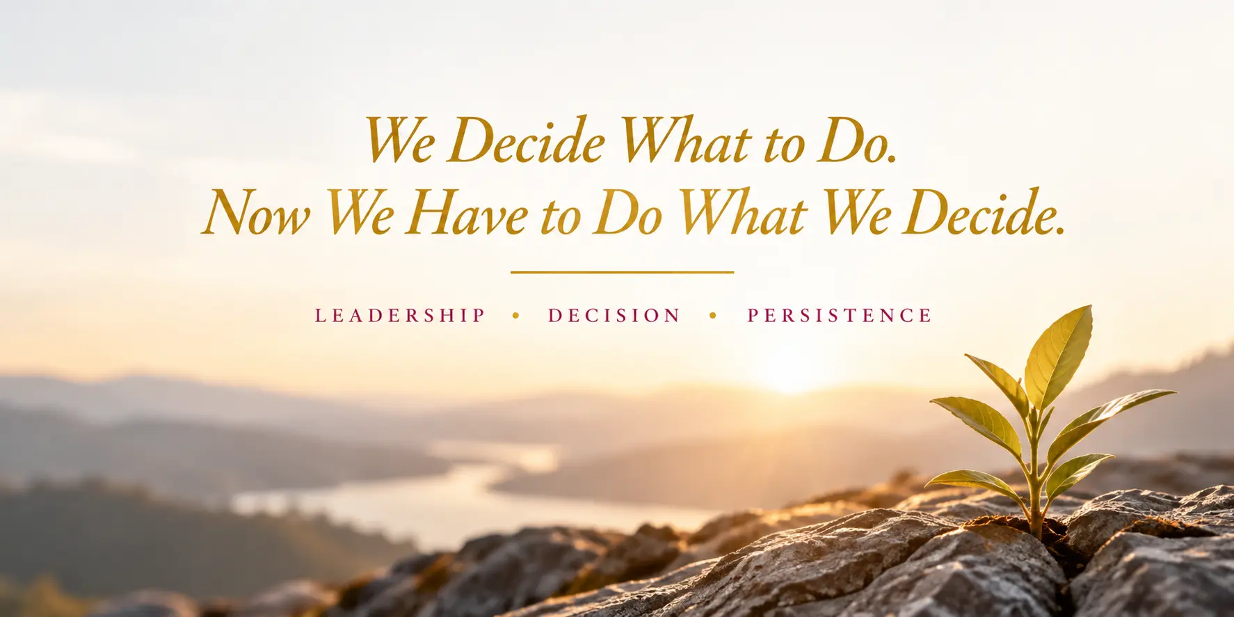 We Decide What to Do. Now We Have to Do What We Decide. Leadership, Decision, Persistence.